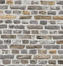 AS Creations  AS Creation the Battle of Style behang Stone 38829-2