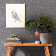 AS Creations  AS Creation the Battle of Style behang 38832-4