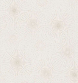 AS Creations  AS Creation the Battle of Style behang Stars 38818-4