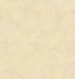 AS Creations  AS Creation Casual Living behang 1690-20