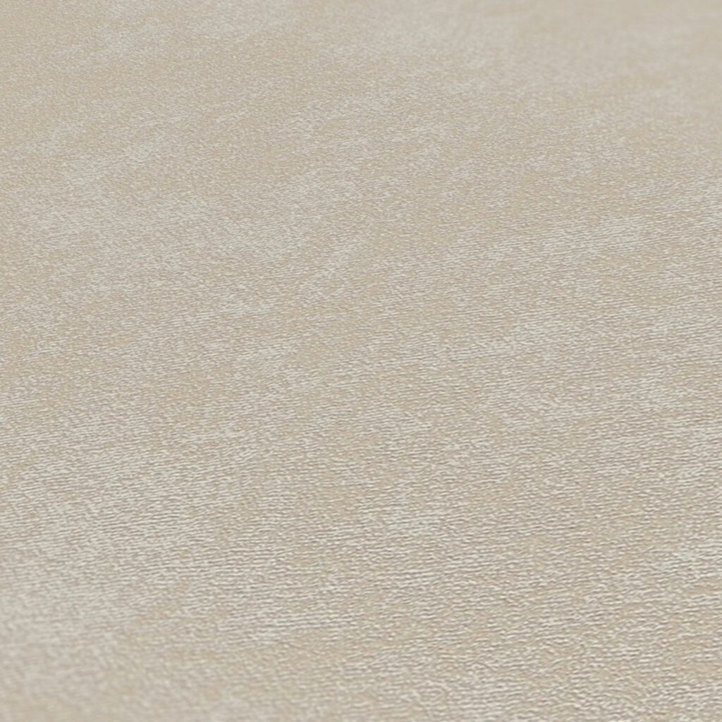 AS Creations  AS Creation Casual Living behang 39341-2