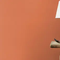 Rasch Rasch Allegretto behang 687569