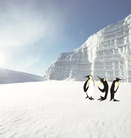 Eijffinger Eijffinger Wallpower Junior 364145 Polar Pinguins