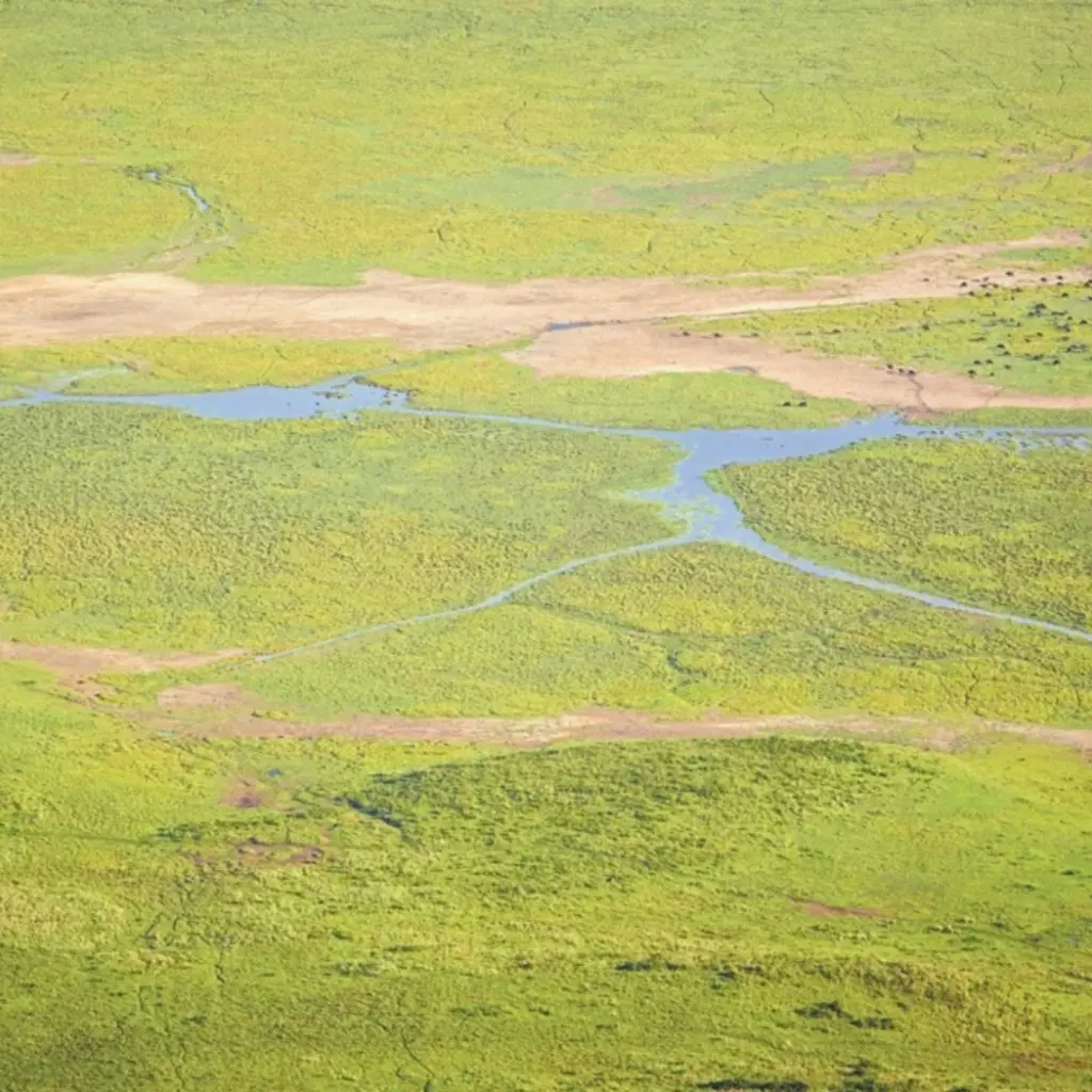 Eijffinger Eijffinger Wallpower Junior 364170 Africa