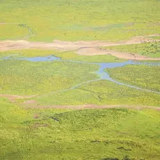 Eijffinger Eijffinger Wallpower Junior 364170 Africa