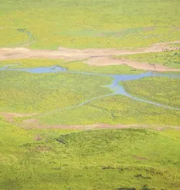 Eijffinger Eijffinger Wallpower Junior 364170 Africa