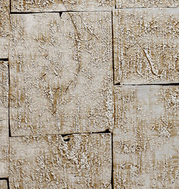 Arte Arte Boutique behang Glided Heritage Antique Silver 90501