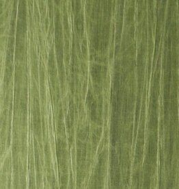 Arte Arte Emblème behang Pyxis Iguana 38015 A