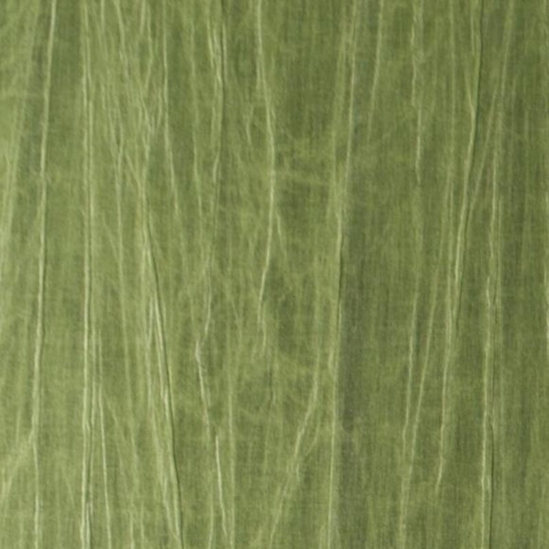 Arte Arte Emblème behang Pyxis Iguana 38015 A