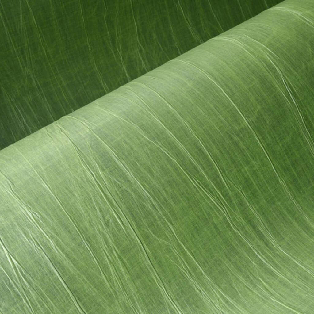 Arte Arte Emblème behang Pyxis Iguana 38015 A