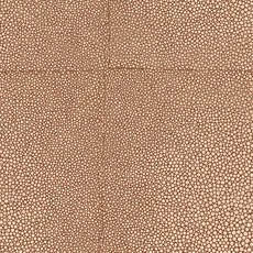 Arte Arte Icons behang Shagreen Rose Brown 85522
