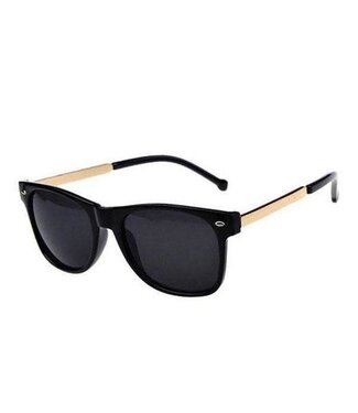 Rayban Sunglasses