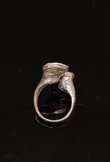 ring draaikolk