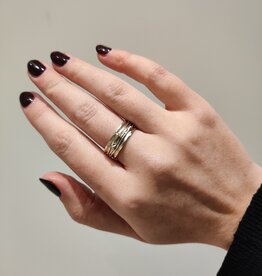 Ring Spinsel