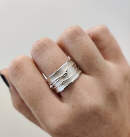 Ring Spinsel