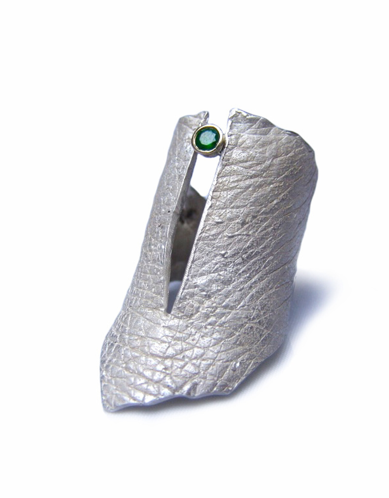Ring skin