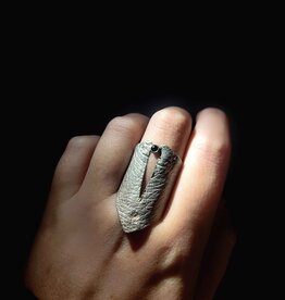 Ring skin