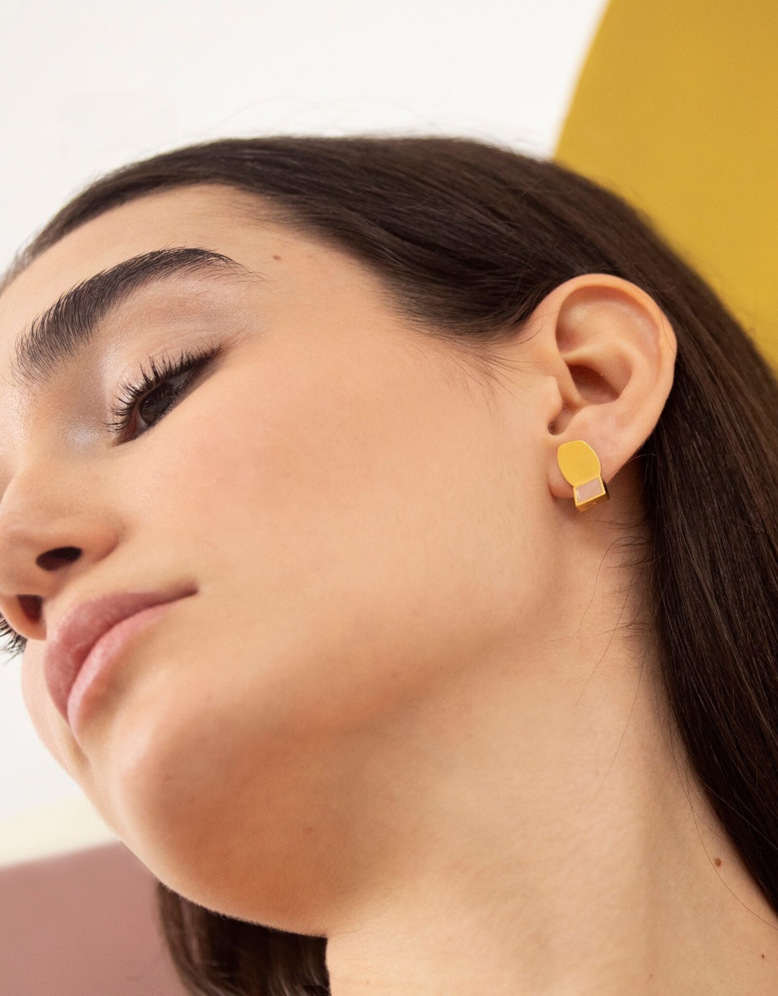 Earrings Collage Rose