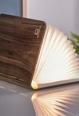 Book Light Big