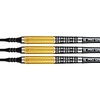 Target Target Raymond van Barneveld Gen 2 95% Freccette Soft Darts