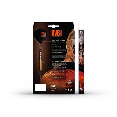 Target Target Raymond van Barneveld Gen 2 95% Freccette Soft Darts