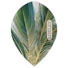 Loxley Alette Loxley Feather Green & Gold Pear