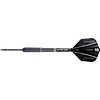 Target Target Raymond van Barneveld 95% Freccette Steel Darts