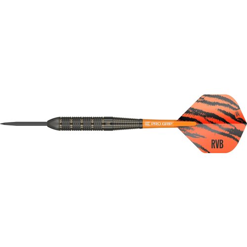 Target Target Raymond van Barneveld RVB Brass Set 22 Pezzi Freccette Steel Darts