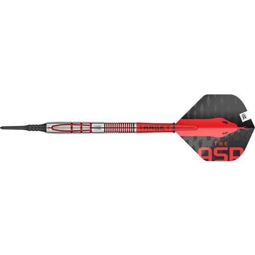 Target Target Nathan Aspinall G2 95% Freccette Soft Darts