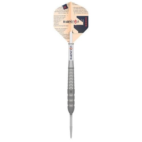 Target Target Raymond van Barneveld Barney25 Swiss Point 95% Freccette Steel Darts