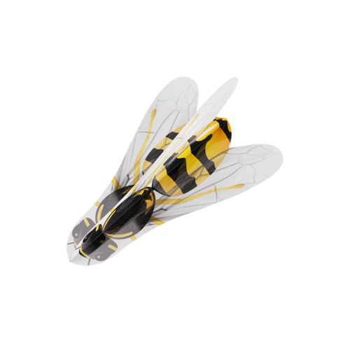 Alette DW 3 Set Winged