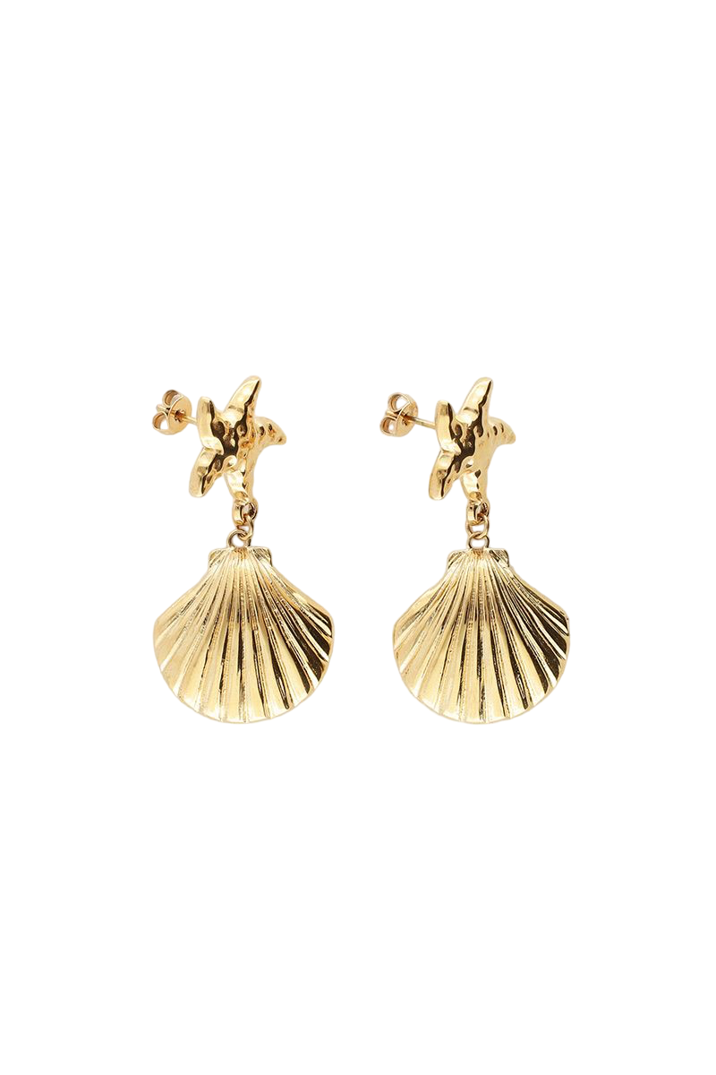 Ocean shell earrings gold