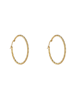 Day & Eve FINE TWIST HOOP - GOLD