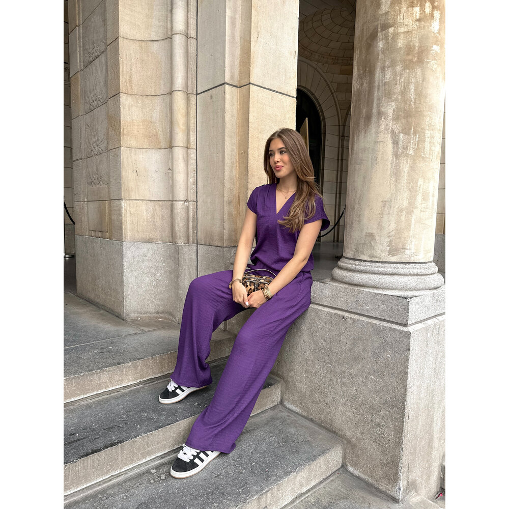 Ambika VEERLE PANTS - PURPLE