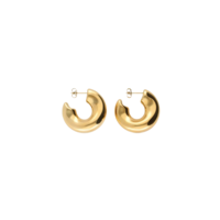 ORGANIC EARRINGS - GOLD