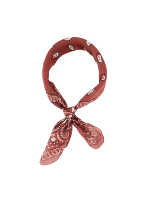 LOTZ & LOT PAISLEY SCARF - BURGUNDY LOTZ & LOT PAISLEY SCARF - BURGUNDY