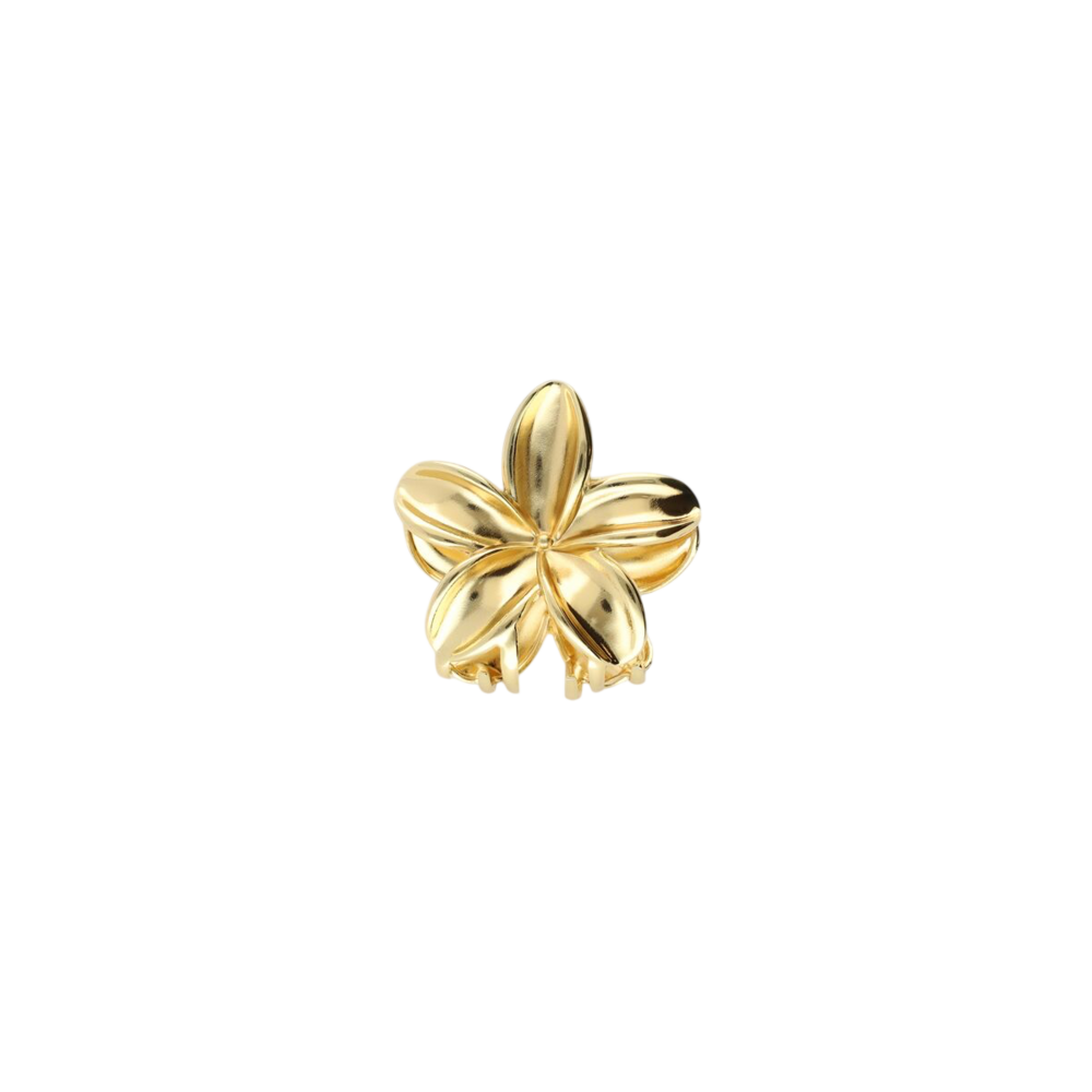 My Jewellery FLOWER HAIRCLIP - GOLD