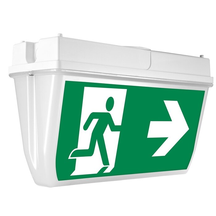 Surface-mounted emergency lighting OTG-EF-55