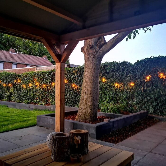 Warm witte LED filament lampen met transparante kap - 1 watt