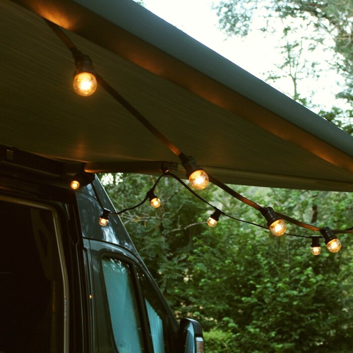 Warm witte LED lampen met LEDs op lange stokjes - 0,7 watt