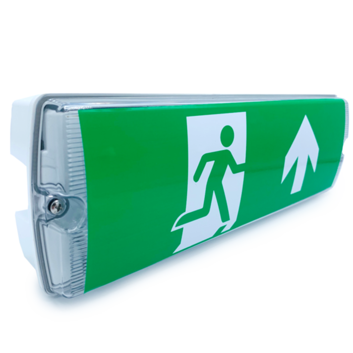 5.5 watt surface-mounted emergency lighting OTG-DD-4
