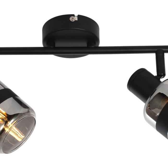 Industriële plafondspot smoke glas, 2-lichts - Gesa