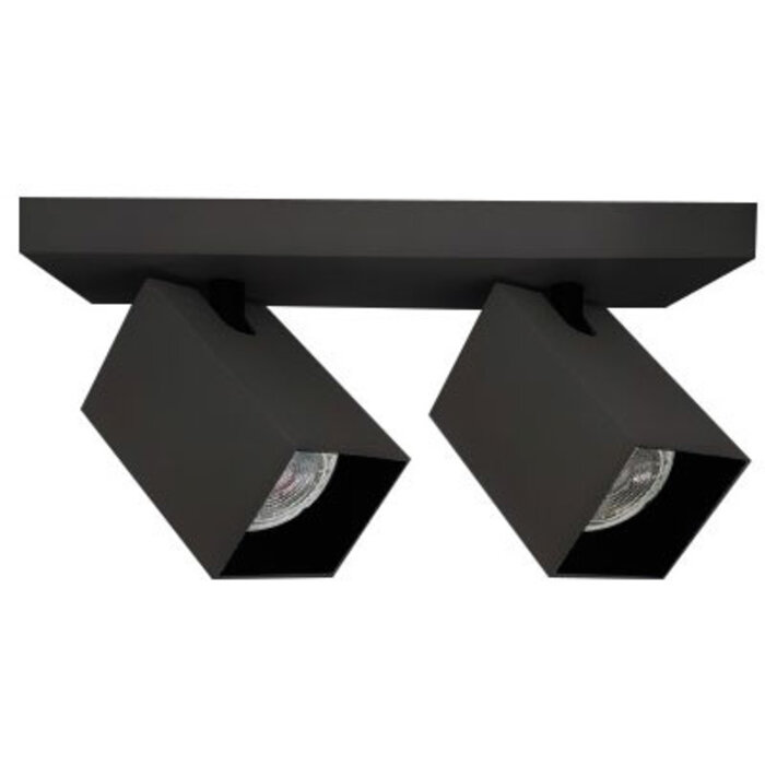 Industriële mat zwarte plafondlamp met twee spots - Boy