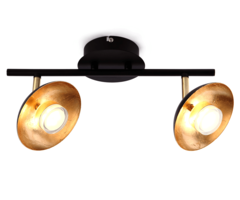 Industriële plafondlamp met 2 spots - Orchid