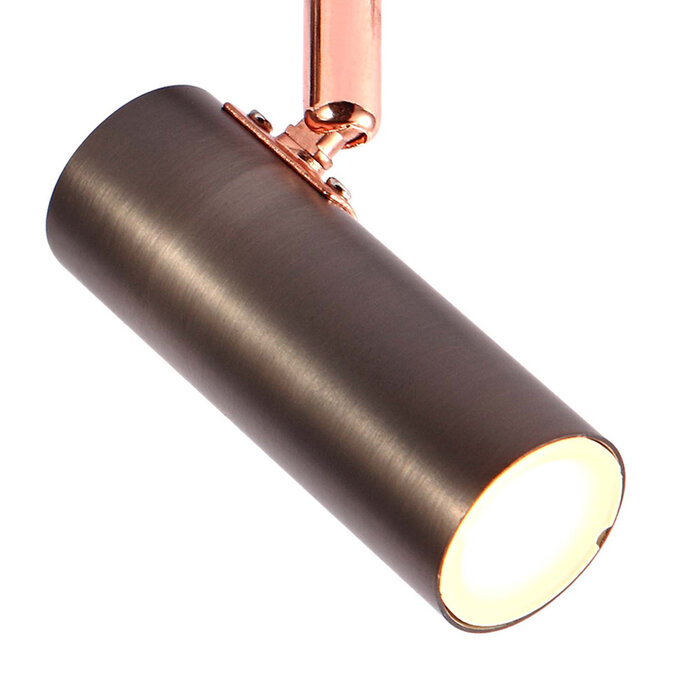 Moderne plafondlamp met 2 spots - Auburn