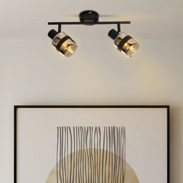 Industriële plafondspot smoke glas, 2-lichts - Gesa