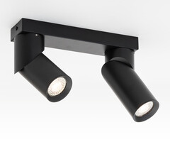 Industriële zwarte plafondlamp met 2 spots - Libby