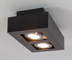 Luxe 2-lichts zwarte opbouwspot - Benny