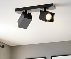 Industriële plafondlamp met 2 spots - Cal