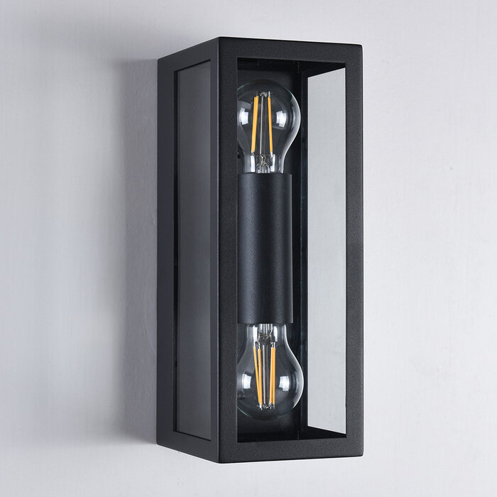 RVS zwarte wandlamp Diana 2-lichts met glas